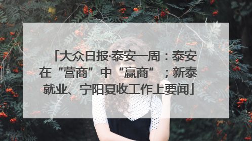 大众日报·泰安一周：泰安在“营商”中“赢商”；新泰就业、宁阳夏收工作上要闻