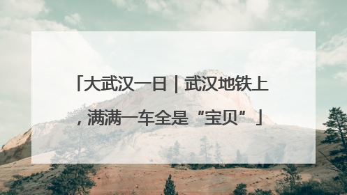 大武汉一日｜武汉地铁上，满满一车全是“宝贝”