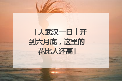 大武汉一日︱开到六月底，这里的花比人还高