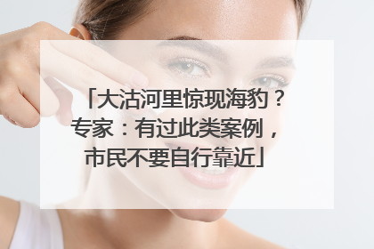 大沽河里惊现海豹？专家：有过此类案例，市民不要自行靠近