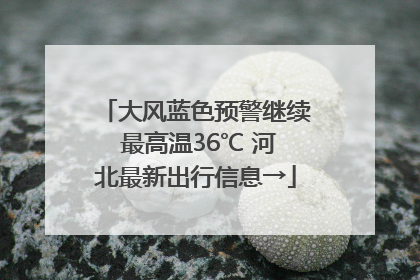大风蓝色预警继续 最高温36℃ 河北最新出行信息→
