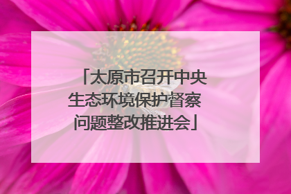 太原市召开中央生态环境保护督察问题整改推进会