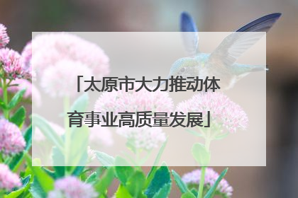 太原市大力推动体育事业高质量发展