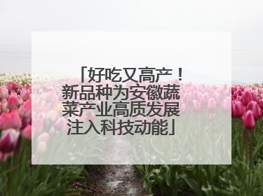 好吃又高产！新品种为安徽蔬菜产业高质发展注入科技动能