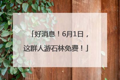 好消息！6月1日，这群人游石林免费！