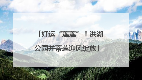 好运“莲莲”！洪湖公园并蒂莲迎风绽放