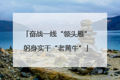 奋战一线“领头雁” 躬身实干“老黄牛”