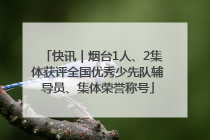 快讯｜烟台1人、2集体获评全国优秀少先队辅导员、集体荣誉称号