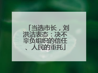 当选市长，刘洪洁表态：决不辜负组织的信任、人民的重托
