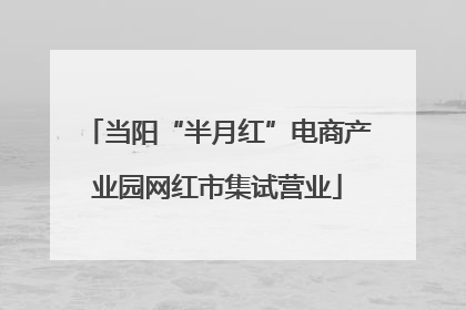 当阳“半月红”电商产业园网红市集试营业