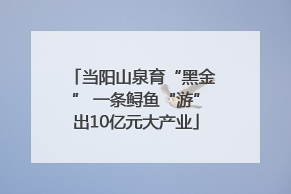 当阳山泉育“黑金” 一条鲟鱼“游”出10亿元大产业