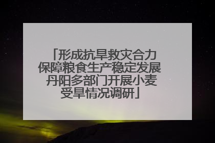 形成抗旱救灾合力 保障粮食生产稳定发展 丹阳多部门开展小麦受旱情况调研
