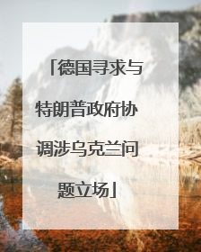 德国寻求与特朗普政府协调涉乌克兰问题立场
