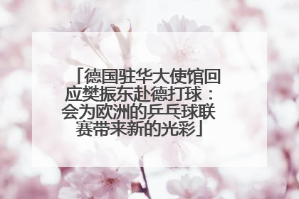 德国驻华大使馆回应樊振东赴德打球：会为欧洲的乒乓球联赛带来新的光彩