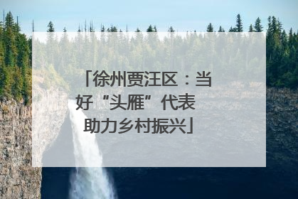 徐州贾汪区：当好“头雁”代表 助力乡村振兴