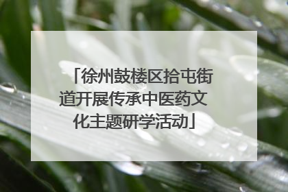 徐州鼓楼区拾屯街道开展传承中医药文化主题研学活动