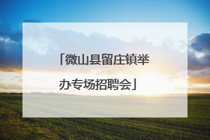 微山县留庄镇举办专场招聘会