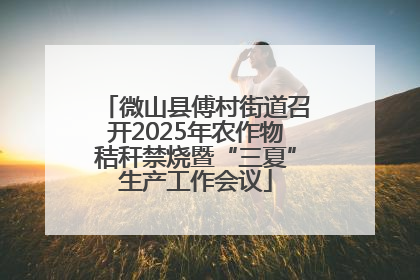 微山县傅村街道召开2025年农作物秸秆禁烧暨“三夏”生产工作会议