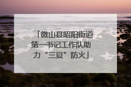 微山县昭阳街道第一书记工作队助力“三夏”防火