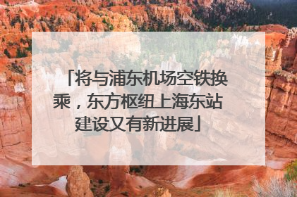 将与浦东机场空铁换乘，东方枢纽上海东站建设又有新进展