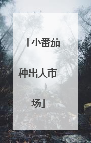 小番茄种出大市场
