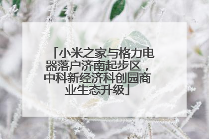 小米之家与格力电器落户济南起步区，中科新经济科创园商业生态升级