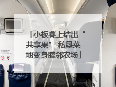 小板凳上结出“共享果” 私垦菜地变身睦邻农场