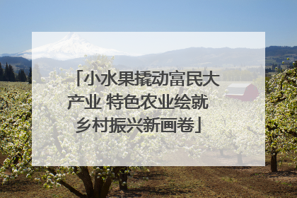 小水果撬动富民大产业 特色农业绘就乡村振兴新画卷