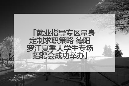 就业指导专区量身定制求职策略 德阳罗江夏季大学生专场招聘会成功举办