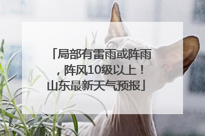 局部有雷雨或阵雨，阵风10级以上！山东最新天气预报