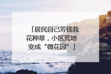 居民自己筹钱栽花种草，小区荒地变成“微花园”