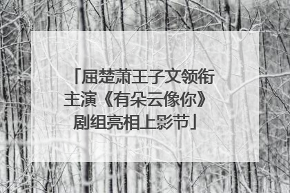 屈楚萧王子文领衔主演《有朵云像你》剧组亮相上影节