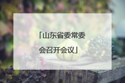 山东省委常委会召开会议