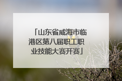 山东省威海市临港区第八届职工职业技能大赛开赛