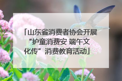山东省消费者协会开展 “护童消费安 端午文化传”消费教育活动