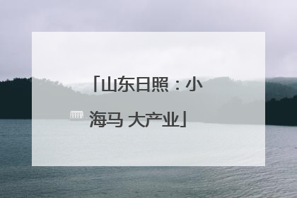 山东日照：小海马 大产业