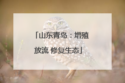 山东青岛：增殖放流 修复生态
