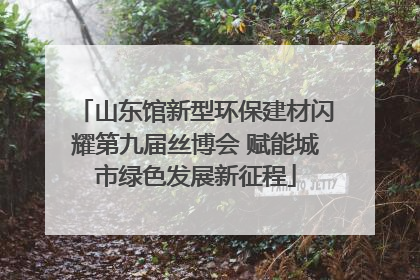 山东馆新型环保建材闪耀第九届丝博会 赋能城市绿色发展新征程