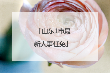 山东1市最新人事任免