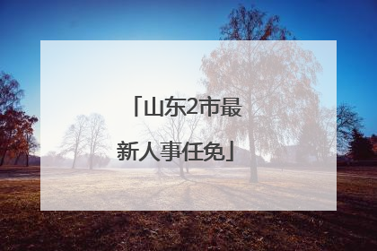 山东2市最新人事任免