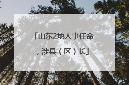 山东2地人事任命，涉县（区）长