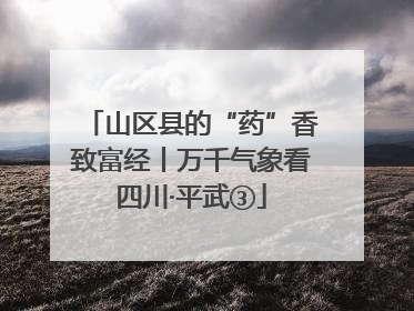 山区县的“药”香致富经丨万千气象看四川·平武③