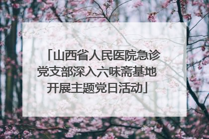 山西省人民医院急诊党支部深入六味斋基地开展主题党日活动