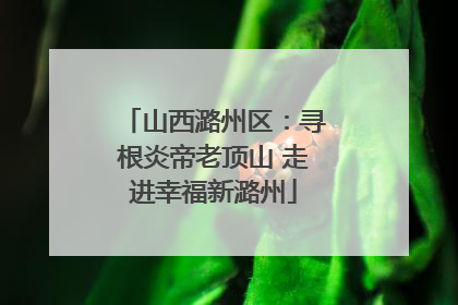 山西潞州区：寻根炎帝老顶山 走进幸福新潞州