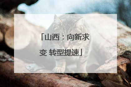 山西：向新求变 转型提速