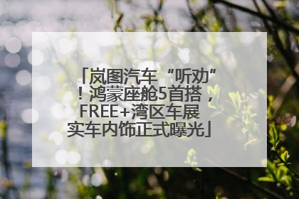 岚图汽车“听劝”！鸿蒙座舱5首搭，FREE+湾区车展实车内饰正式曝光