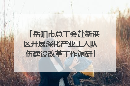 岳阳市总工会赴新港区开展深化产业工人队伍建设改革工作调研