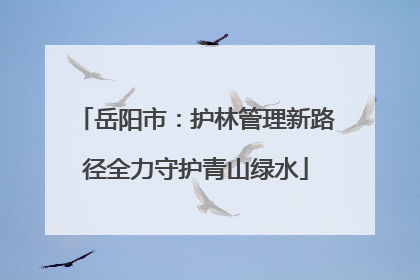 岳阳市：护林管理新路径全力守护青山绿水