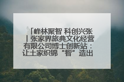 峰林聚智 科创兴张丨张家界旅典文化经营有限公司博士创新站：让土家织锦“智”造出非遗新传奇