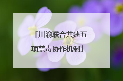 川渝联合共建五项禁毒协作机制